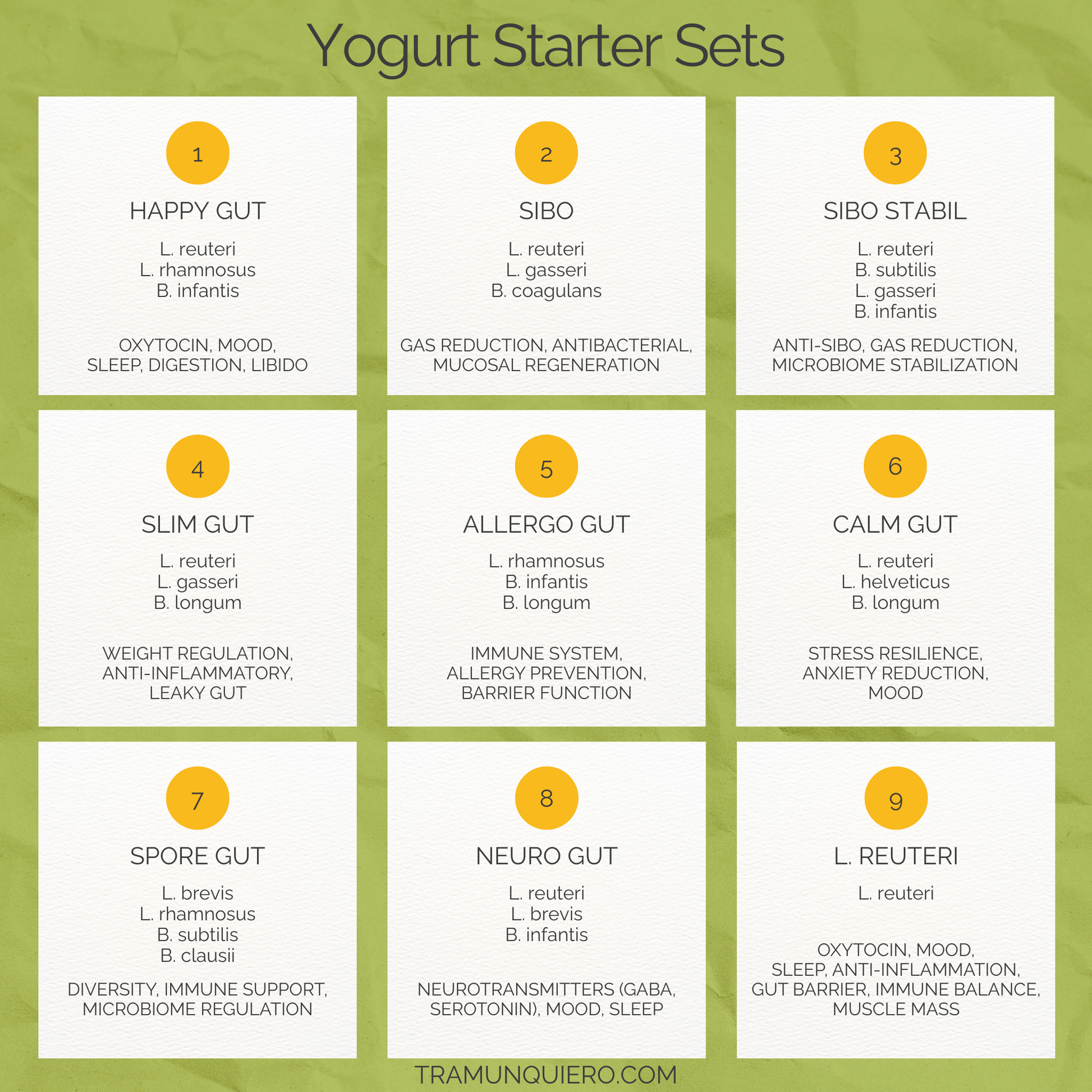 Starter Set "Allergo Gut" | L. rhamnosus, B. infantis, B. longum Yogurt
